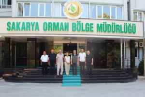 Bir Fidan da Bizden” Diyen Sakarya Trabzonlular Derneği, Ağaçlandırma İçin Harekete Geçti.