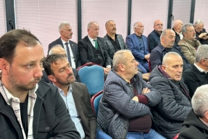 Genel Kuruldan Kareler