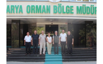 Bir Fidan da Bizden” Diyen Sakarya Trabzonlular Derneği, Ağaçlandırma İçin Harekete Geçti.